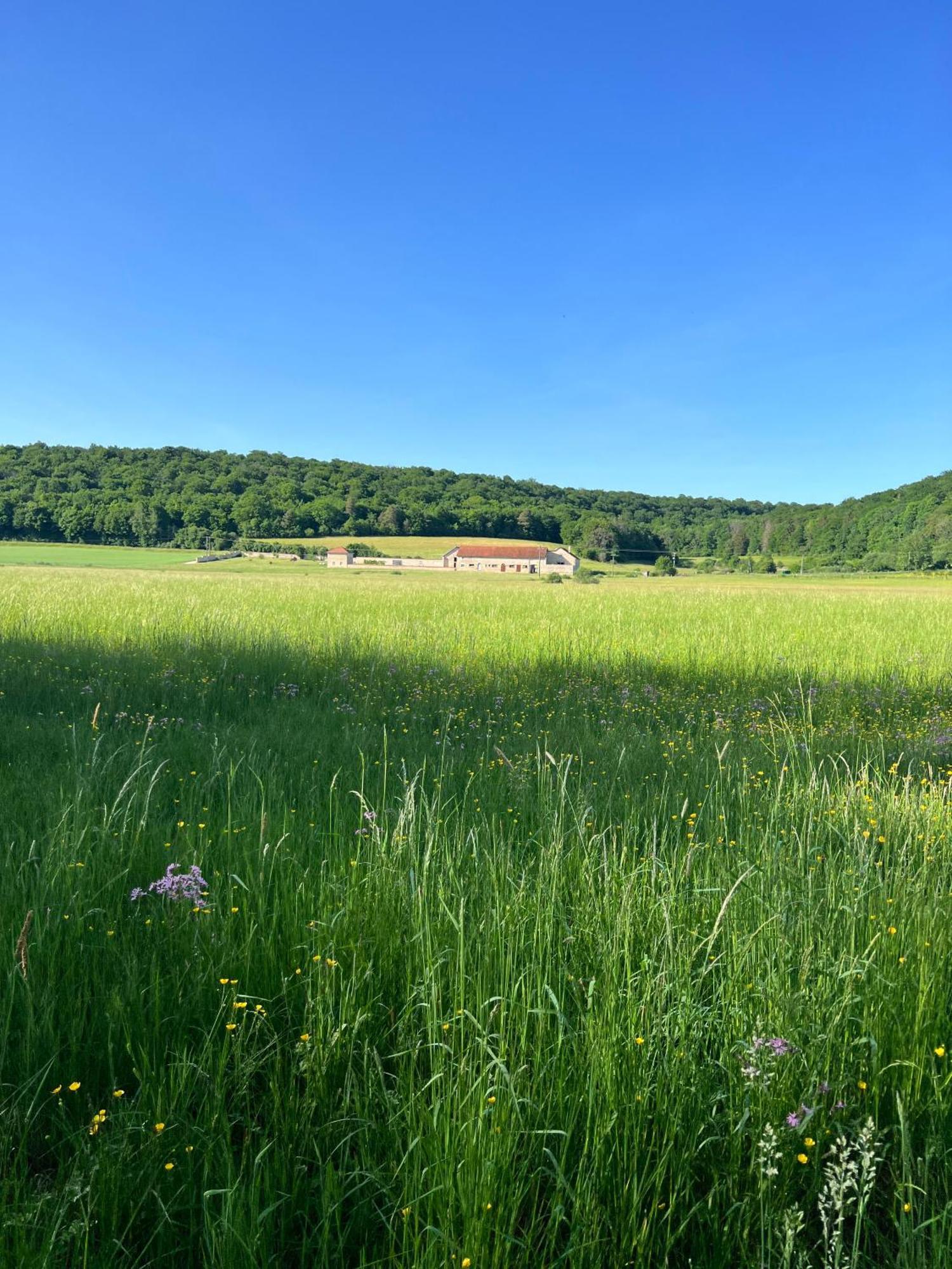 Gite De La Vallee De L'Aujon Arc-en-Barrois Exterior foto